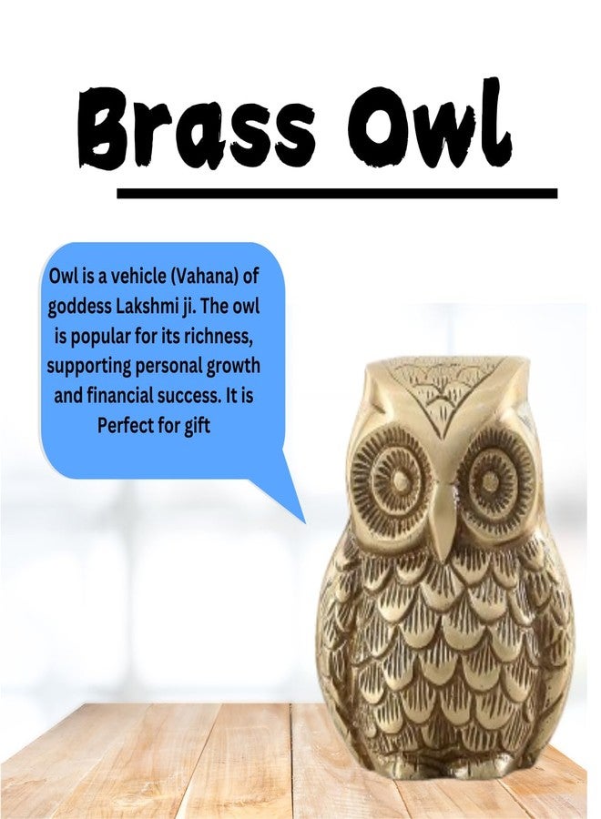 TREE MAISON CORONATING HOMES Brass Vaastu Owl | Size - 3.5 Inch (Approx) | Weight - 650 G (Approx) | Home Decor | Feng Shui | Vastu Shastra Remedies | Owl Statue for Good Luck - Image 5